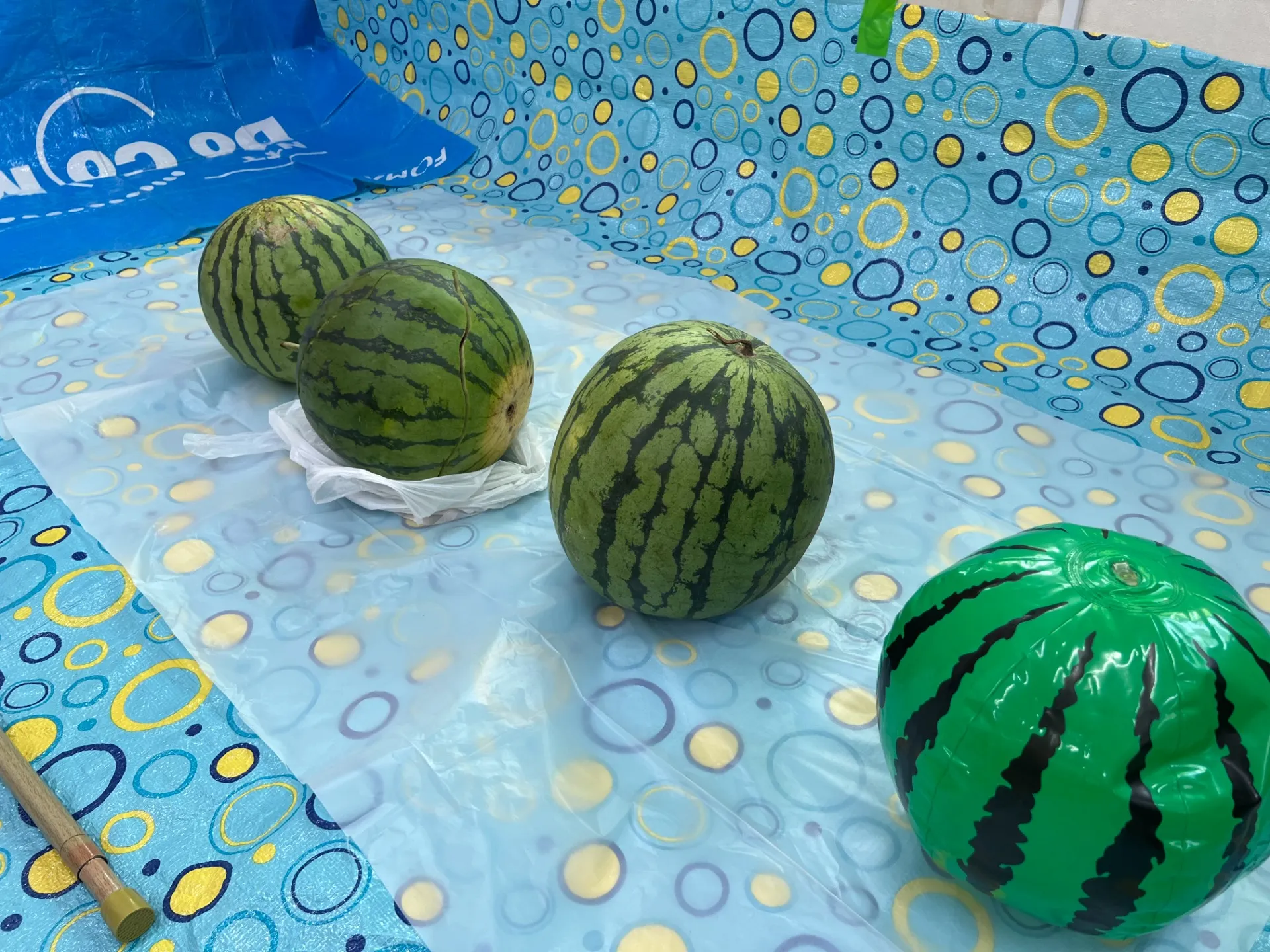 スイカ割り🍉