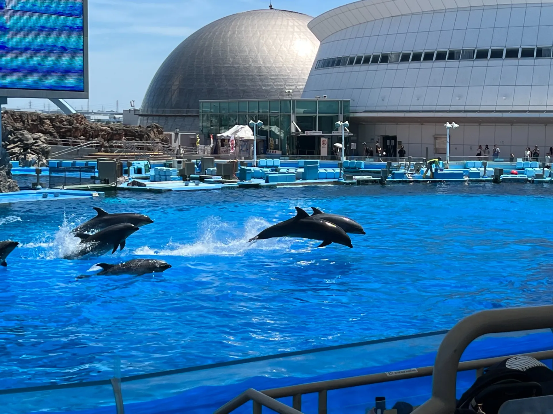 お出かけ！名古屋港水族館🐠